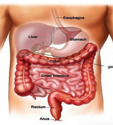 Advance GI Surgery
